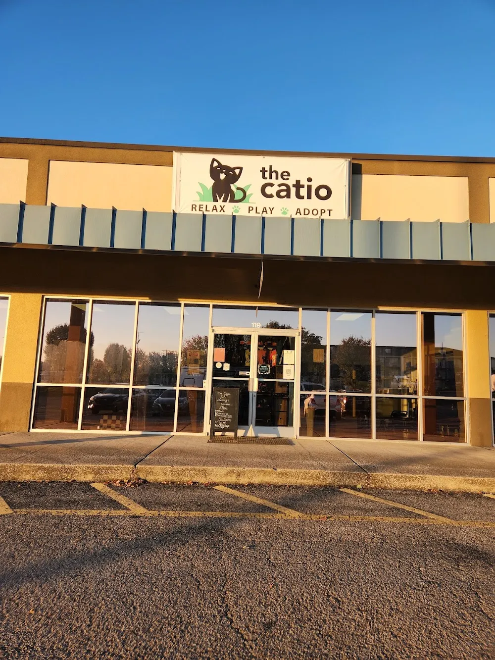 The Catio Cat Lounge cat cafe in Nashville - cats