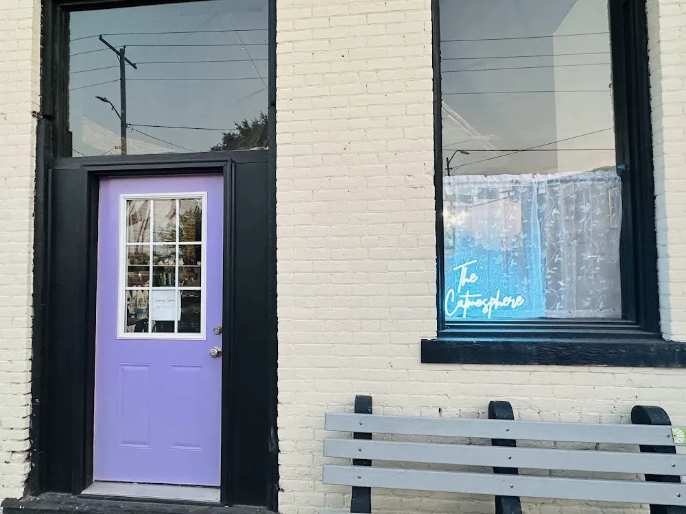 The Catmosphere LLC cat cafe in Terre Haute - interior