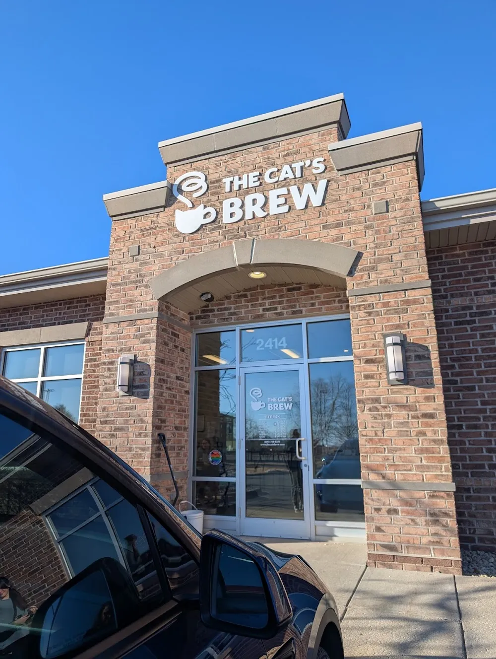 The Cat’s Brew cat cafe in Sun Prairie - atmosphere