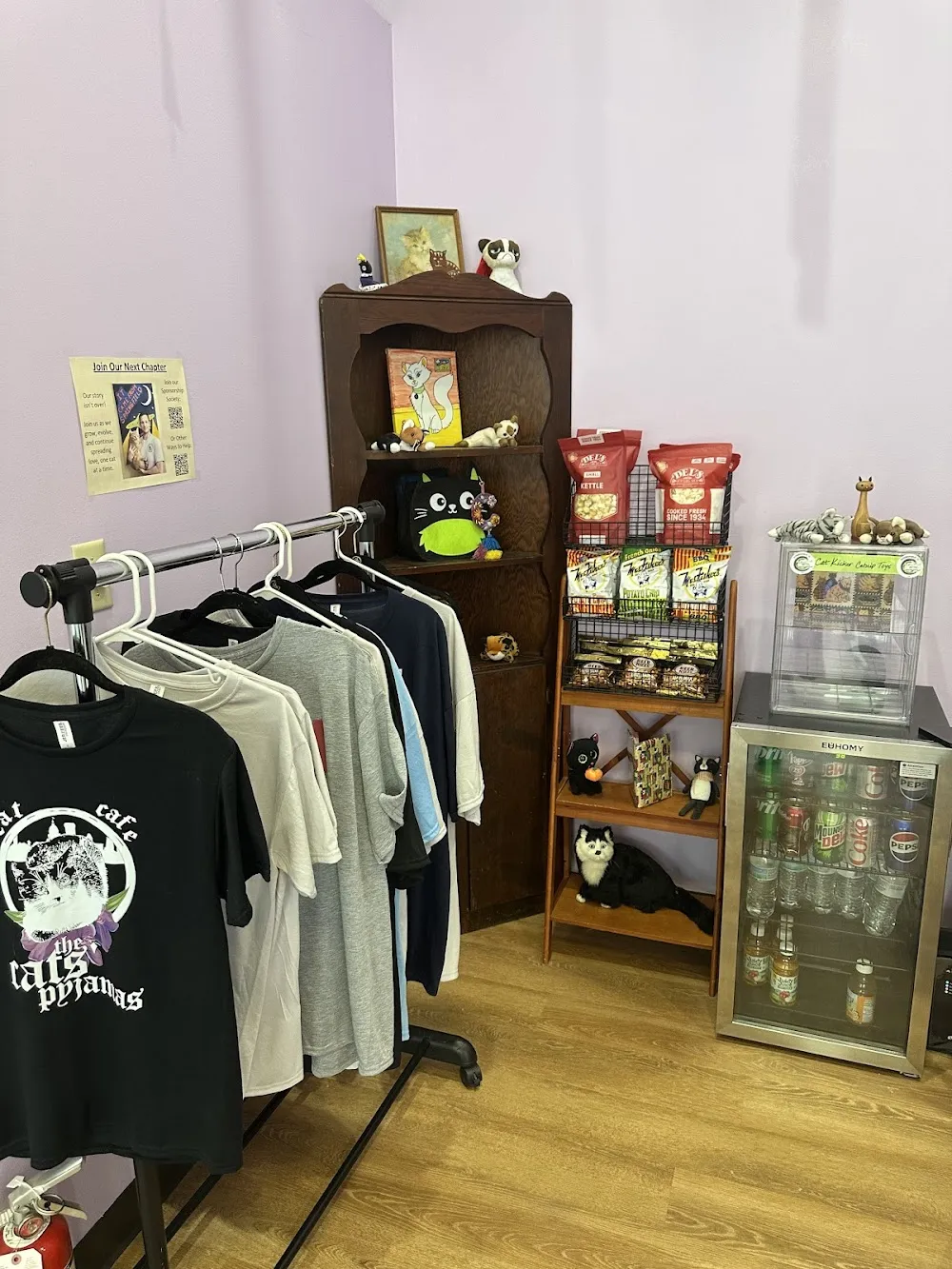 The Cats' Pyjamas Cat Café cat cafe in Springfield - interior