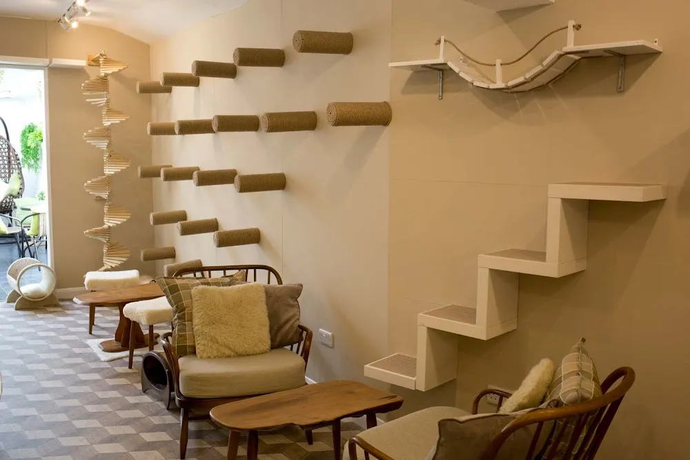 The Cat's Whiskers cat cafe in York - interior