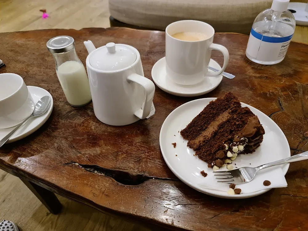 The Cat's Whiskers cat cafe in York - cats