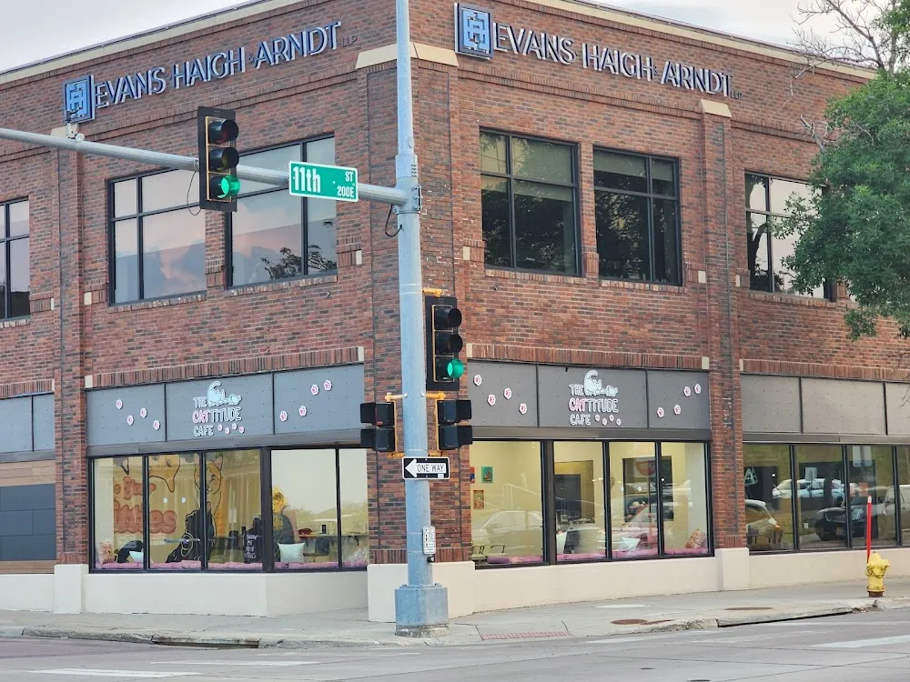 The Cattitude Café cat cafe in Sioux Falls - interior