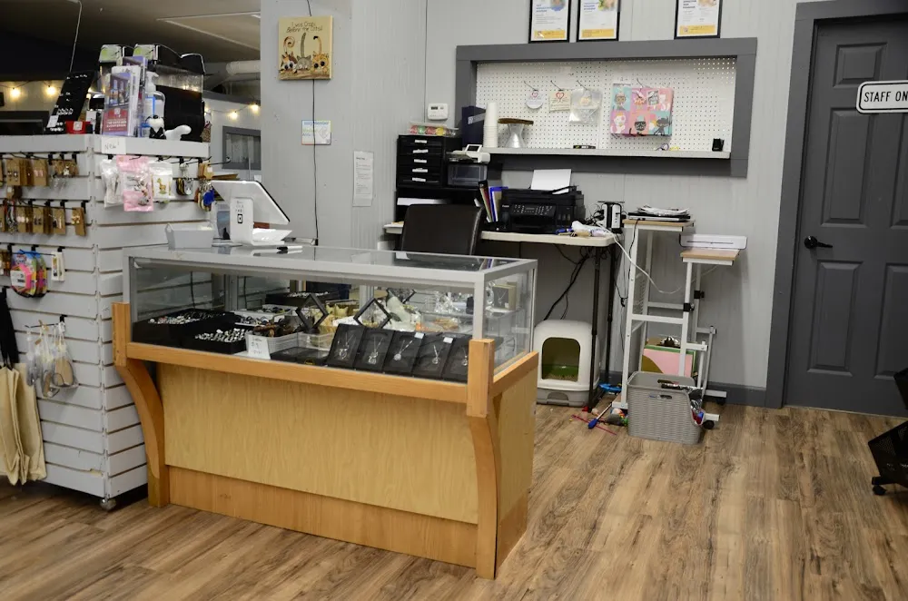 The Catz Den cat cafe in Wayland - interior