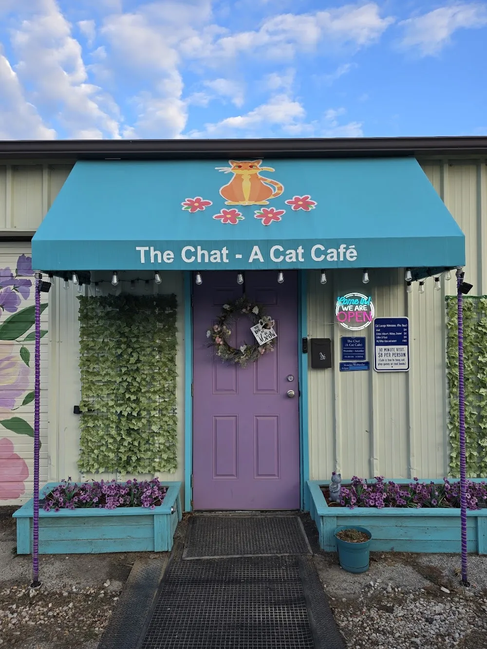 The Chat - A Cat Cafe - cat cafe in Broken Arrow