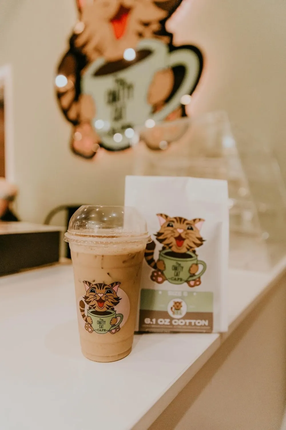 The Chatty Cat Cafe cat cafe in Zanesville - cats