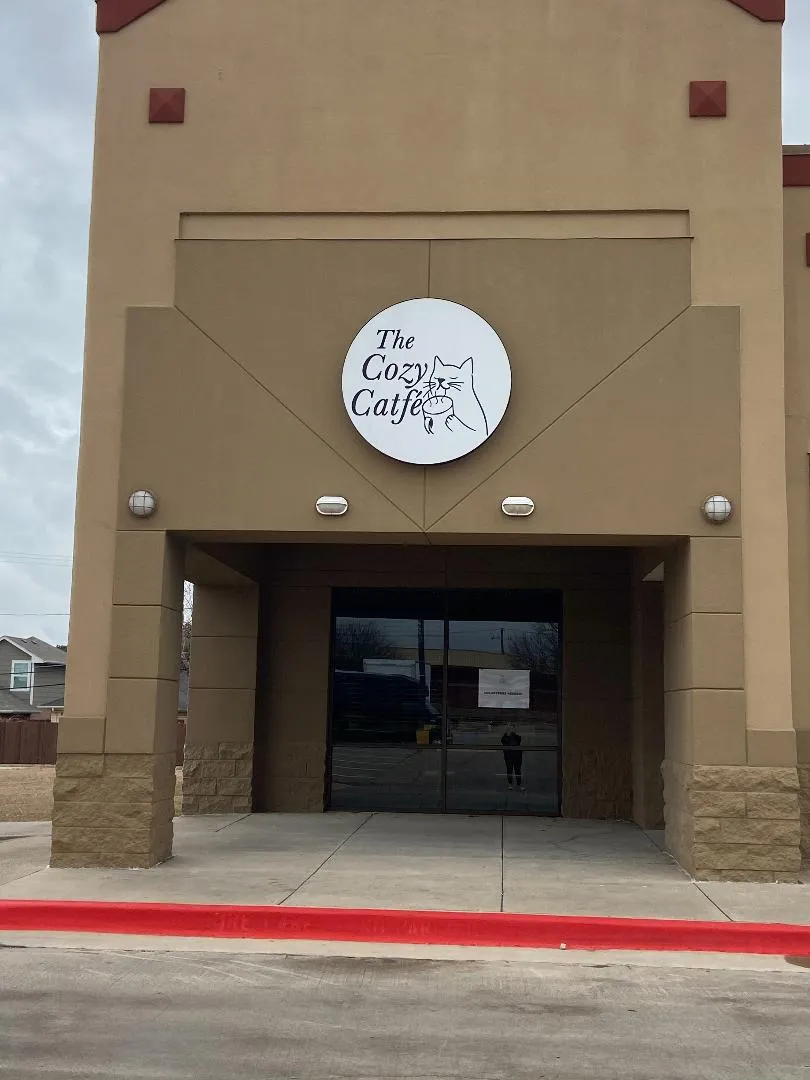 The Cozy Catfe cat cafe in Arlington - interior