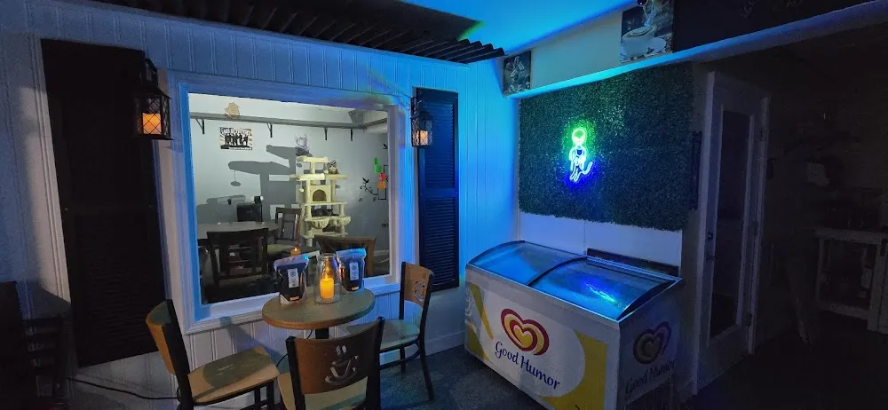 The Farmer's Cat Cafe cat cafe in Fayetteville - atmosphere