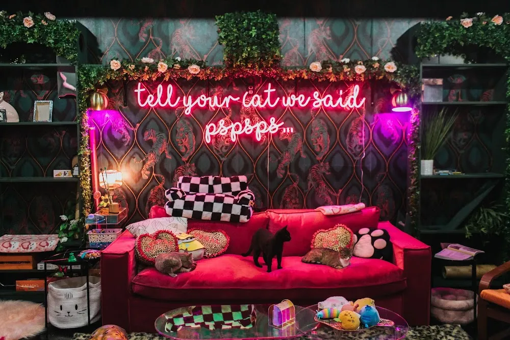 The Glitter Box (18+) cat cafe in Portland - interior
