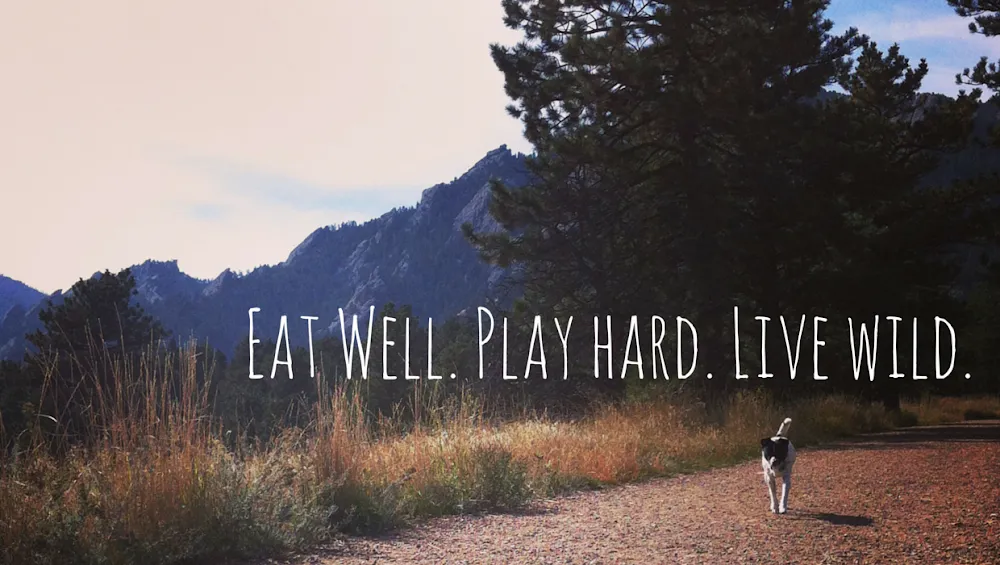 The Happy Beast cat cafe in Lafayette - cats