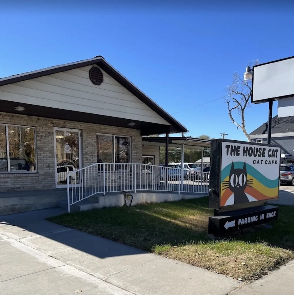 The House Cat - cat cafe in Ogden