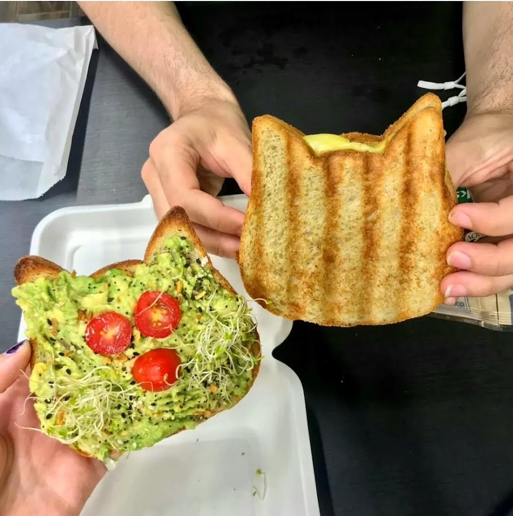 The Kitty Beautiful cat cafe in Orlando - cats