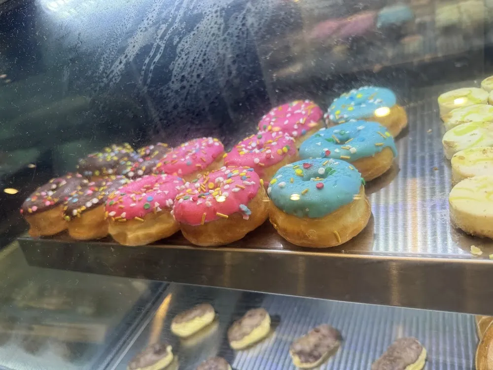 The Kitty Cup cat cafe in Port St. Lucie - cats