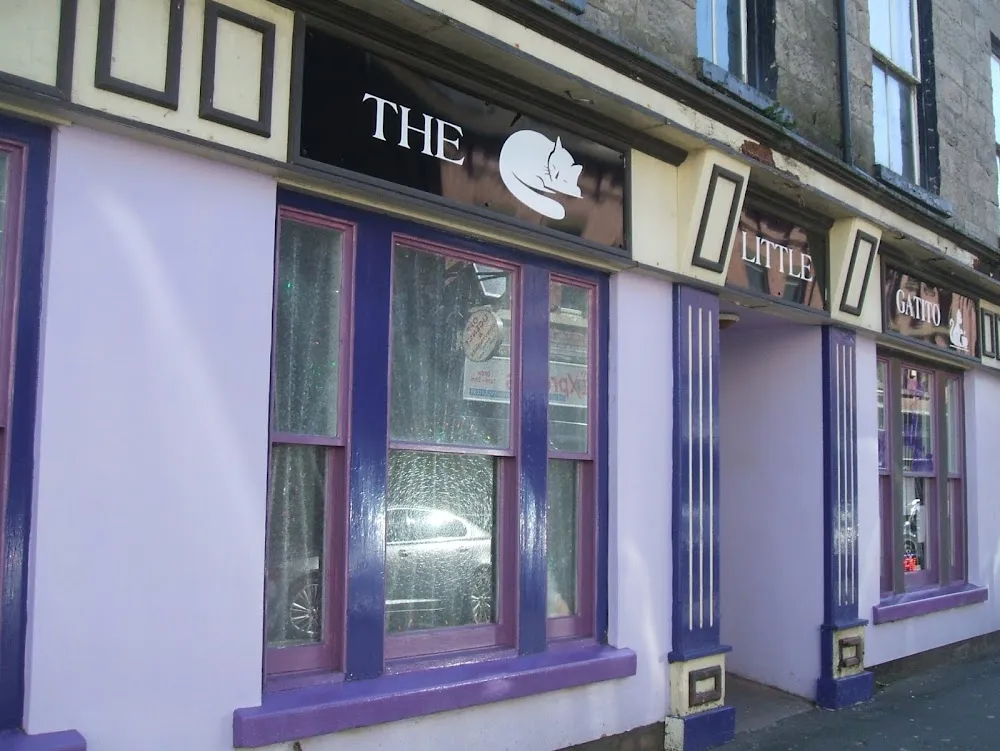 The Little Gatito cat cafe in Rhyl - cats