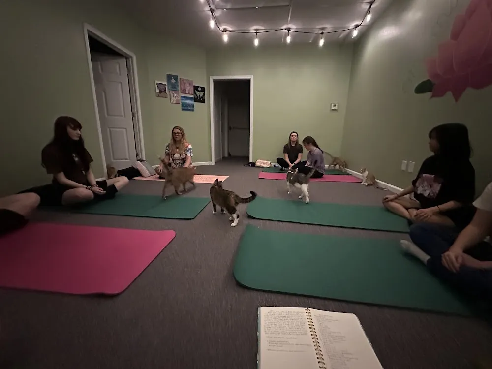 The Lotus Catfe cat cafe in Alabaster - interior