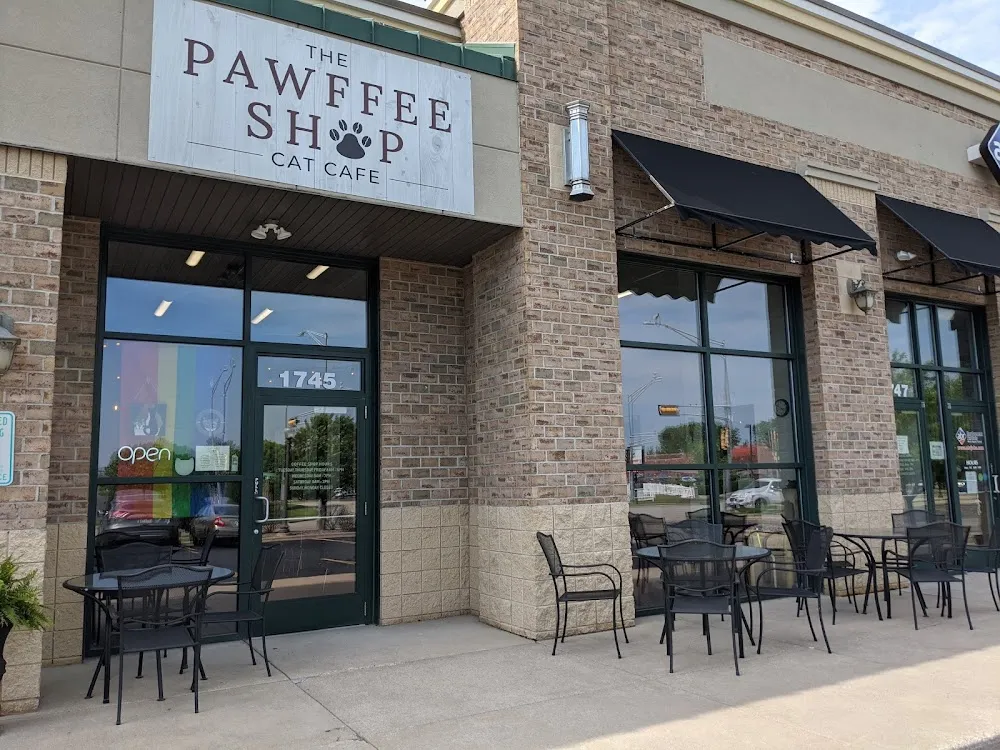 The Pawffee Shop Cat Cafe cat cafe in Appleton - interior