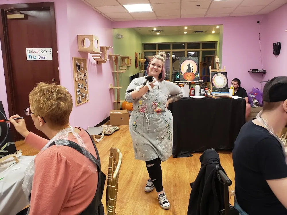 The Pawsitive Cat Cafe cat cafe in Rochester - interior