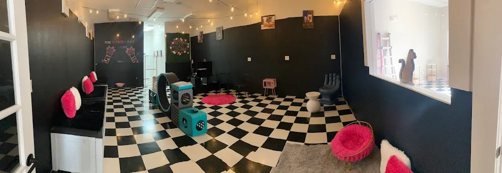 The Purrfect Pour Cat Cafe cat cafe in Lincolnton - interior