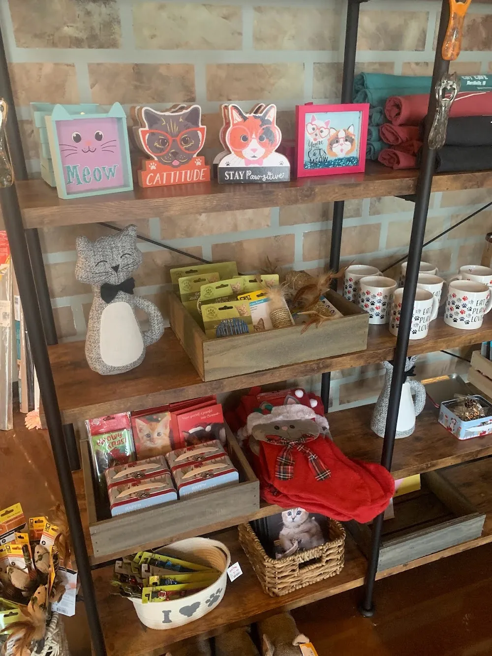 The Region Cat Cafe cat cafe in Merrillville - interior