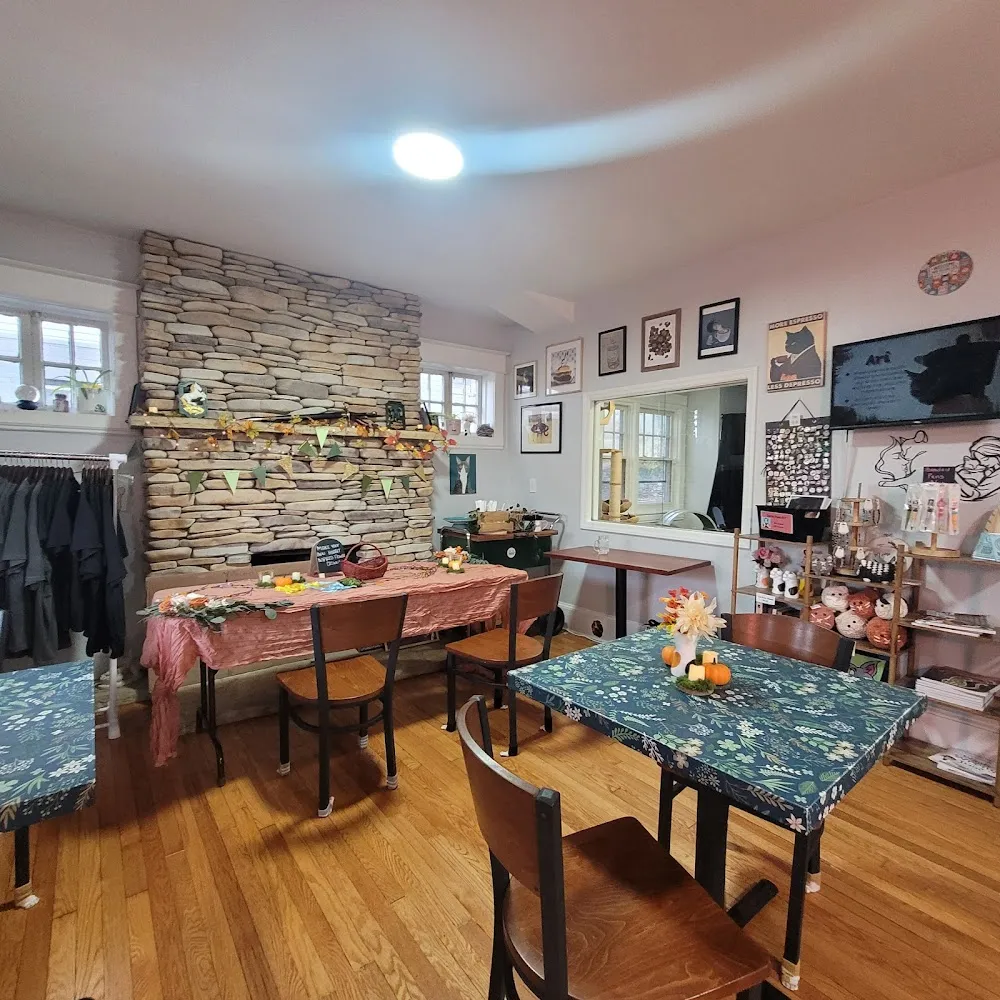 The Toebean Cat Cafe cat cafe in Roanoke - interior