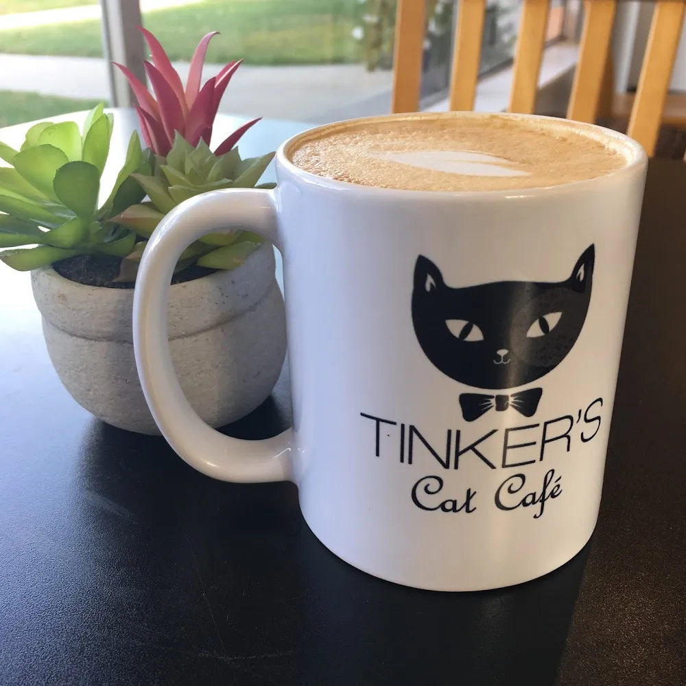 Tinker's Cat Café cat cafe in Salt Lake City - cats