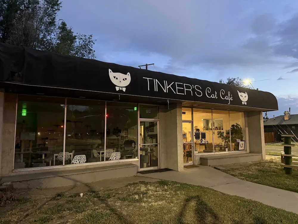 Tinker's Cat Café cat cafe in Salt Lake City - atmosphere