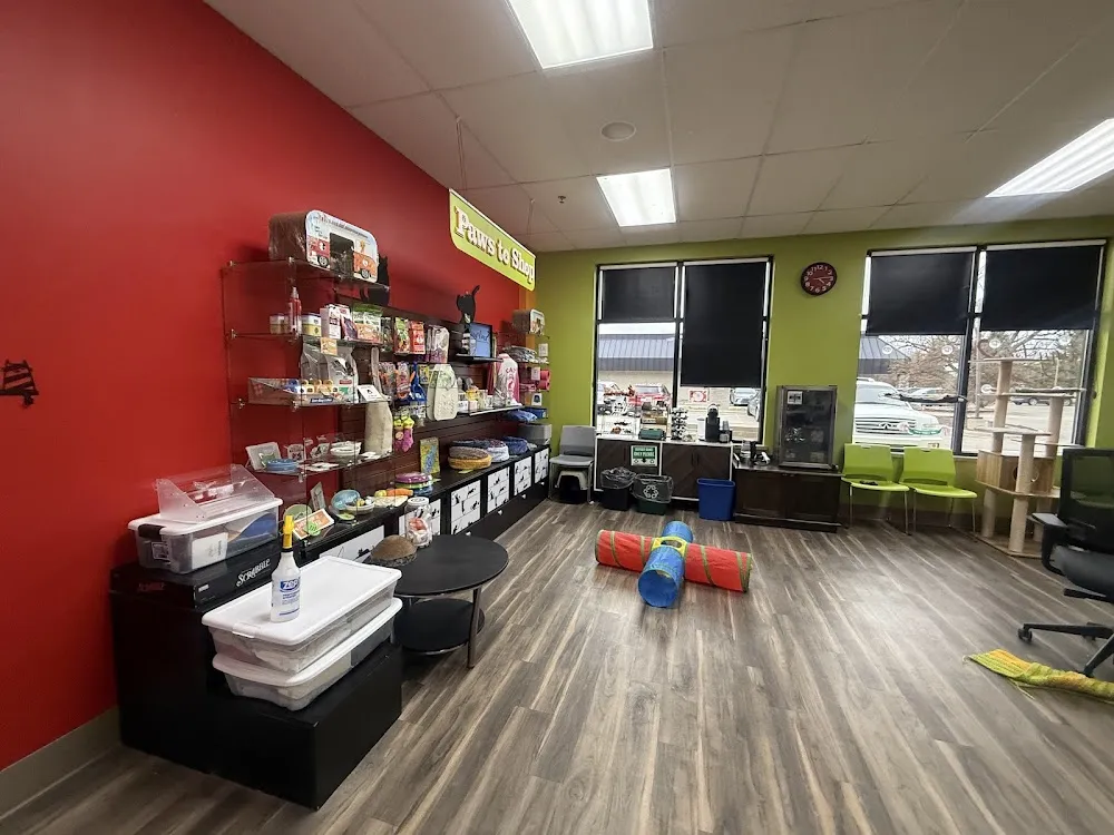 Tiny Lions Lounge & Adoption Center cat cafe in Ann Arbor - atmosphere