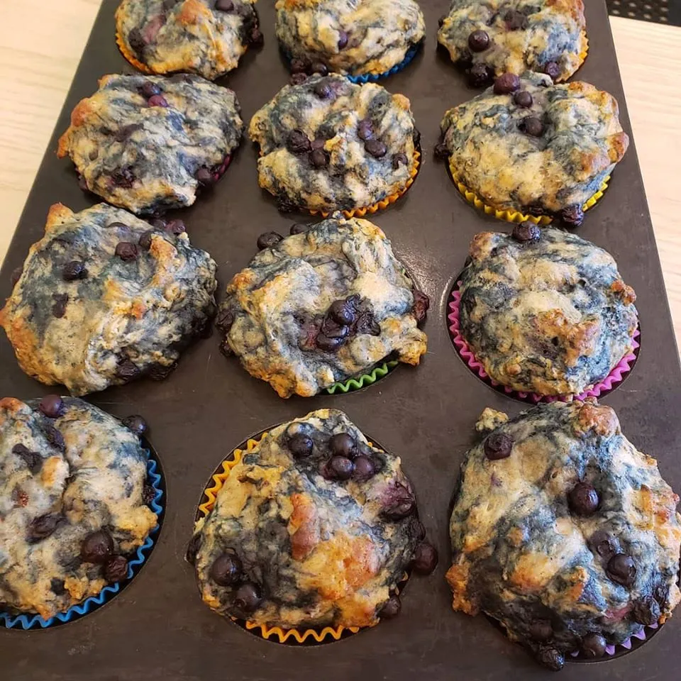 Toe Beans Cat Cafe cat cafe in Port Hope - cats