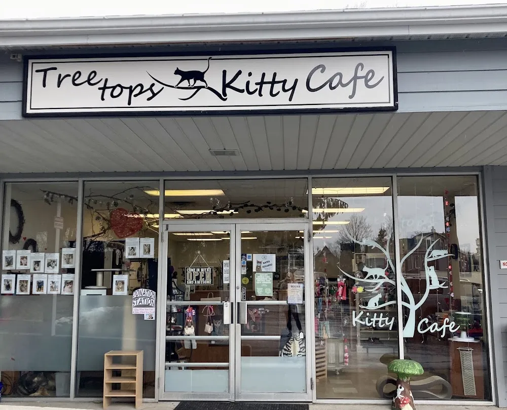 Treetops Kitty Cafe - Cat Adoption and Visitation Center cat cafe in Kennett Square - interior