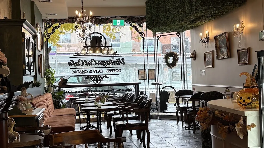 Vintage Cat Cafe Toronto cat cafe in Toronto - cats