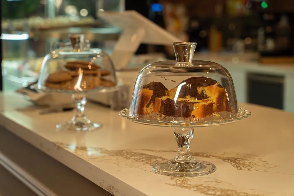 Vintage Cat Cafe Toronto cat cafe in Toronto - atmosphere