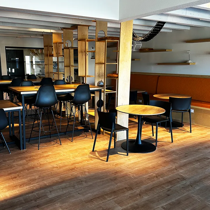 Whiskers and Soda cat cafe in Dallas - interior