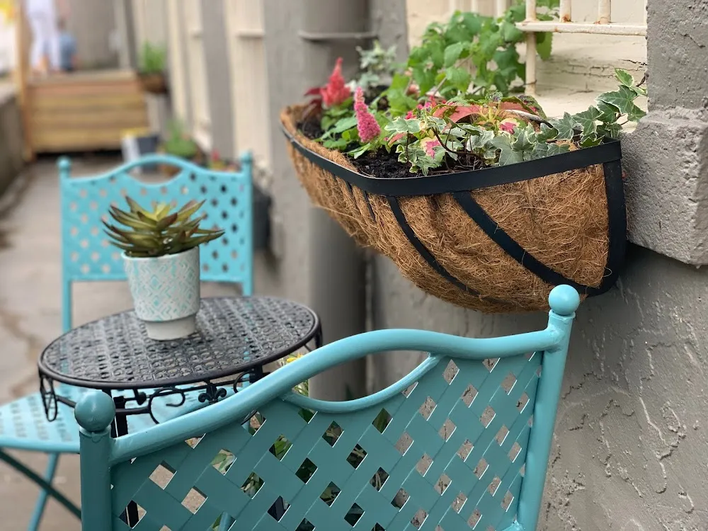 Whiskers Cat Cafe & Coffeehouse cat cafe in Kansas City - interior