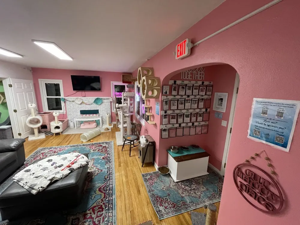 Whiskers Catnip Cottage cat cafe in Granville - interior