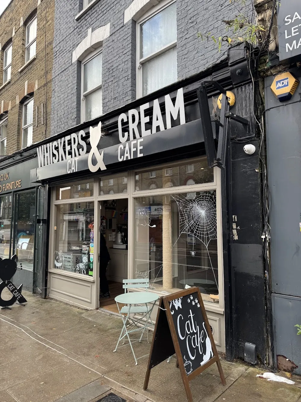 Whiskers & Cream Cat Cafe London cat cafe in London - interior