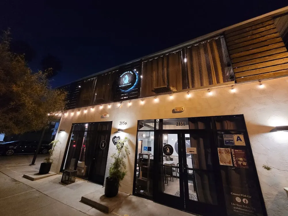 Whiskers & Wine Cat Cafe - cat cafe in San Diego