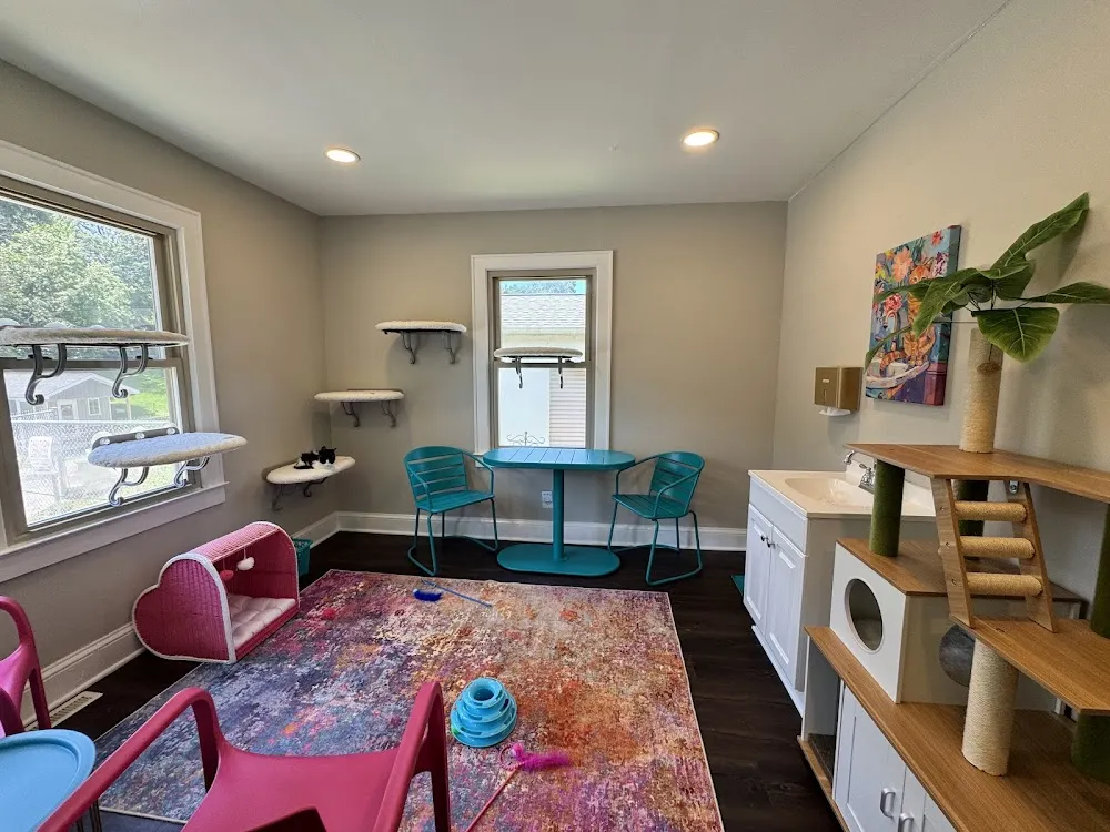 Whiskerville Kitty Cat Cafe cat cafe in Belmont - interior