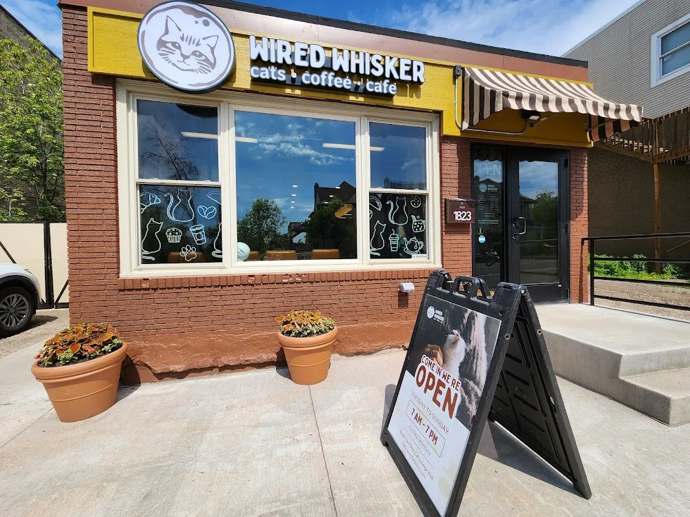 Wired Whisker cat cafe in Duluth - interior