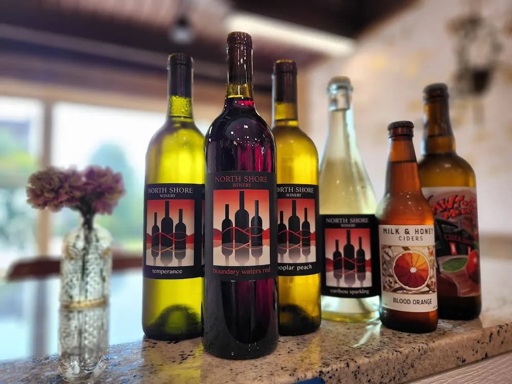 Wired Whisker cat cafe in Duluth - cats