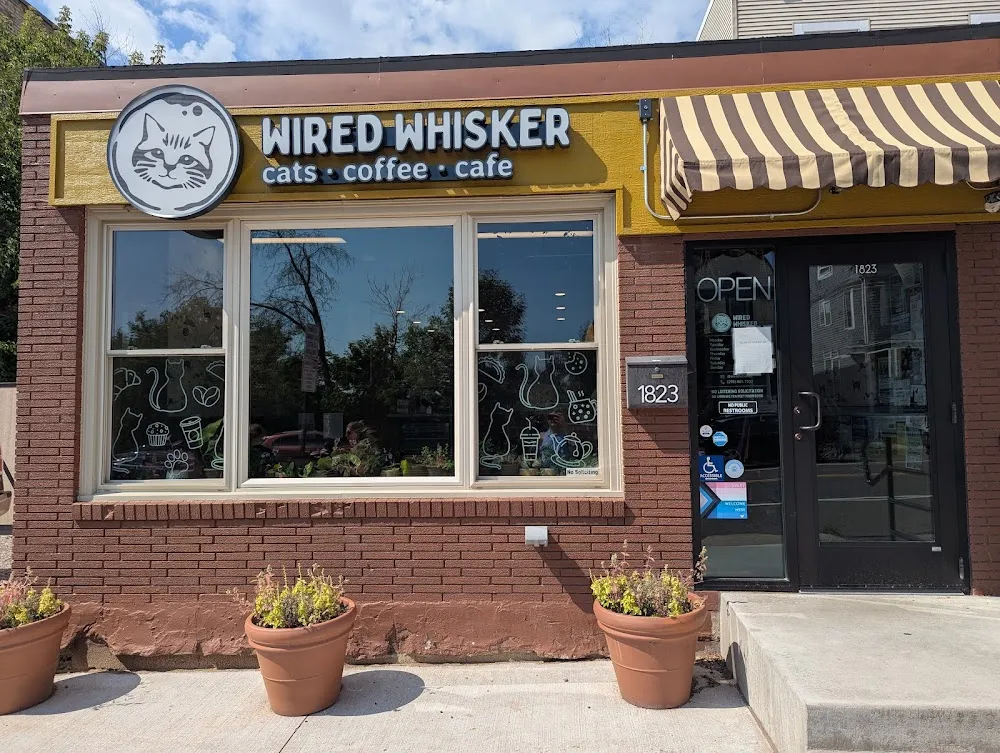 Wired Whisker cat cafe in Duluth - atmosphere