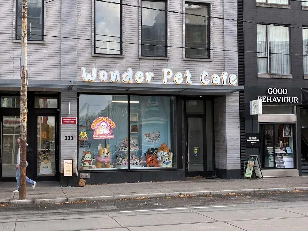 Wonder Pet Cafe cat cafe in Toronto - interior