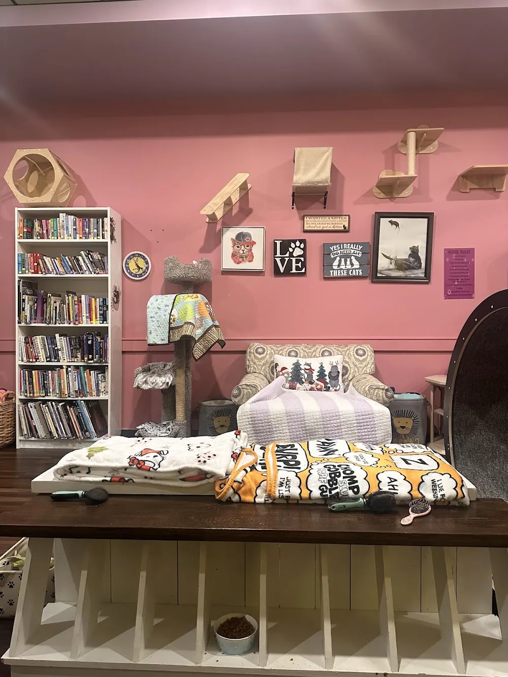 Yay For Strays - Cat Cafe cat cafe in Windsor - interior