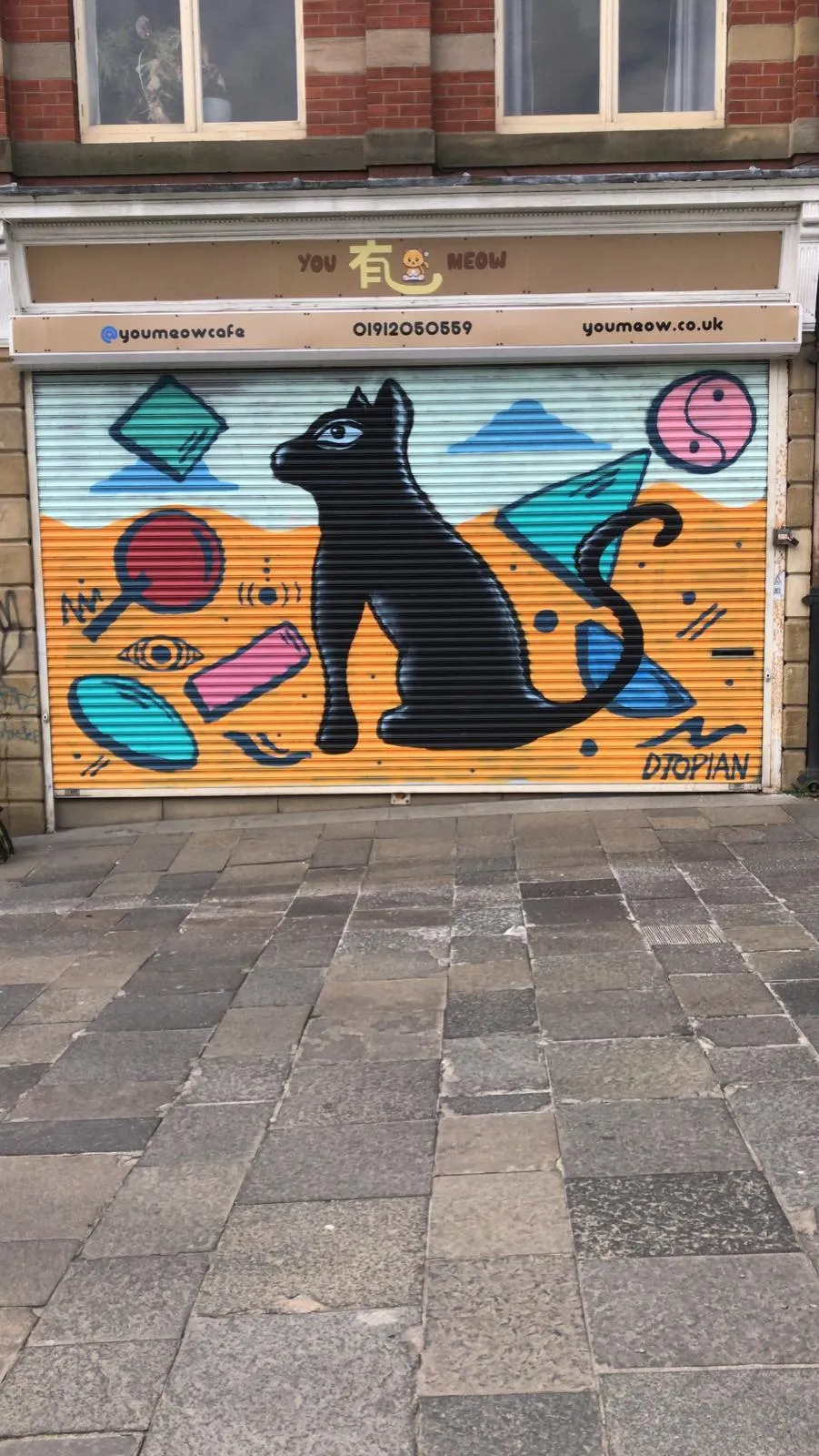 You Meow cat cafe in Newcastle upon Tyne - interior