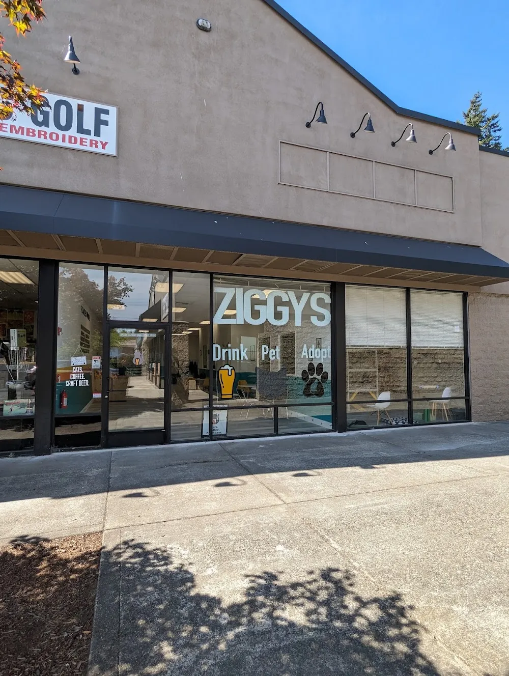 Ziggy's Cat Lounge cat cafe in Bremerton - interior