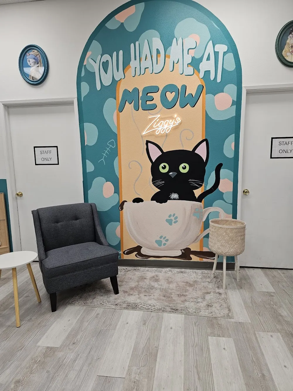 Ziggy's Cat Lounge cat cafe in Bremerton - atmosphere